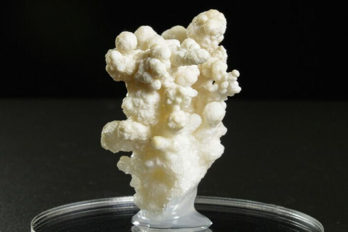 Intricate, Fluorescent Aragonite Formation - Nevada #350267